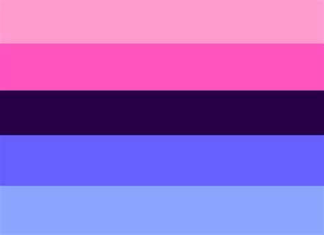 omnisexual flag meaning|Omni Flag & Omnisexuality Flag Meaning